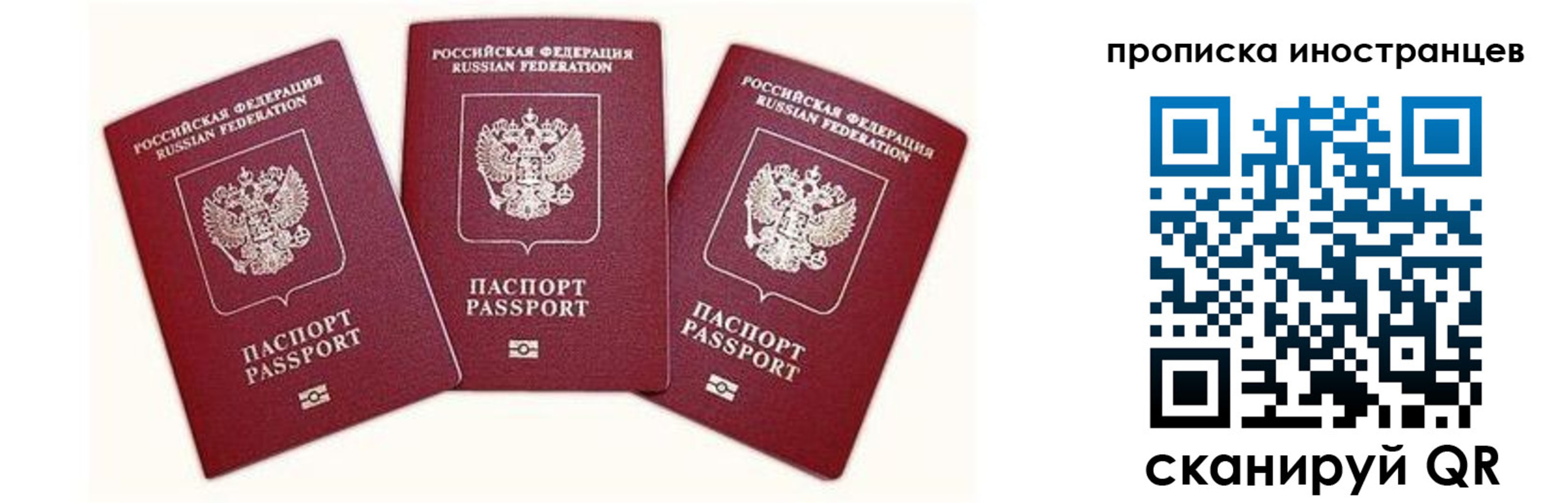прописка в Калининграде